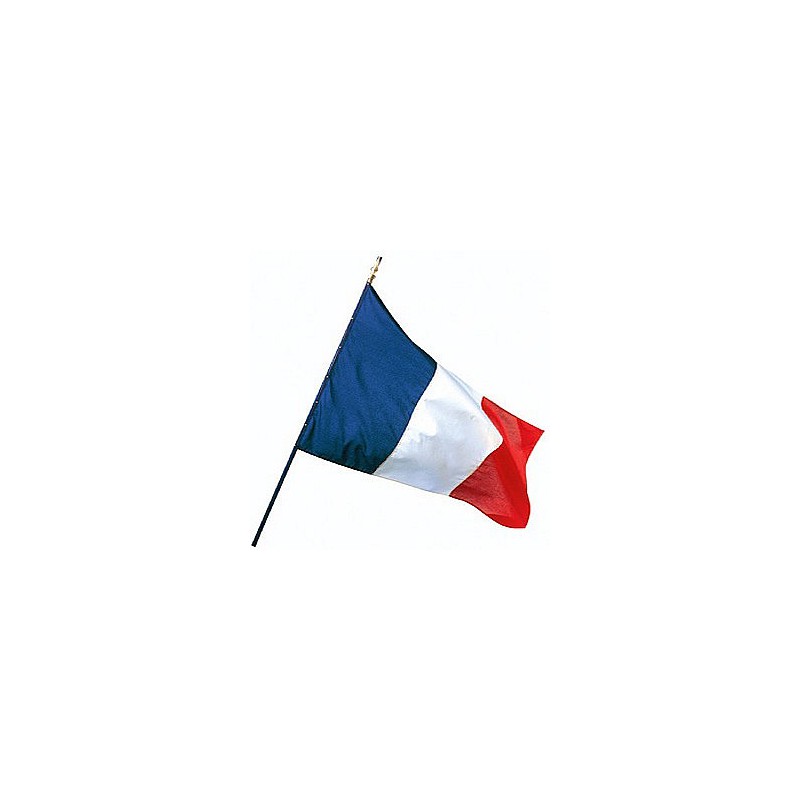 Drapeau France - Achat / Vente drapeau de France sur hampe pas cher