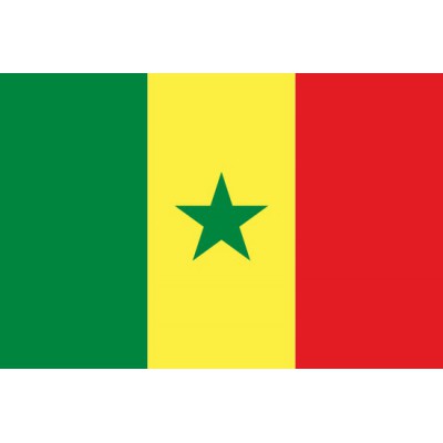 Drapeau Congo-Brazzaville 120x180cm