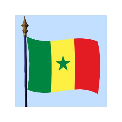 Drapeau national du Sénégal, imprimé sur polyester nautique - AP Promotion